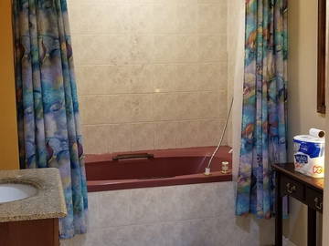 Chambre Chez L'habitant Toronto 235420-9