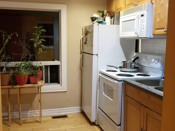 Chambre Chez L'habitant Toronto 235420-6