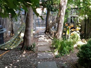 Chambre Chez L'habitant Toronto 235420-12