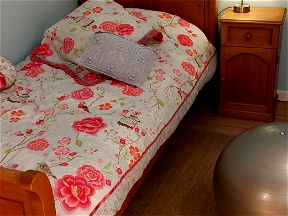 Furnished Room For GIRL ONLY In Brussels