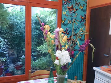 Chambre D'hôte Rennes 10130-9