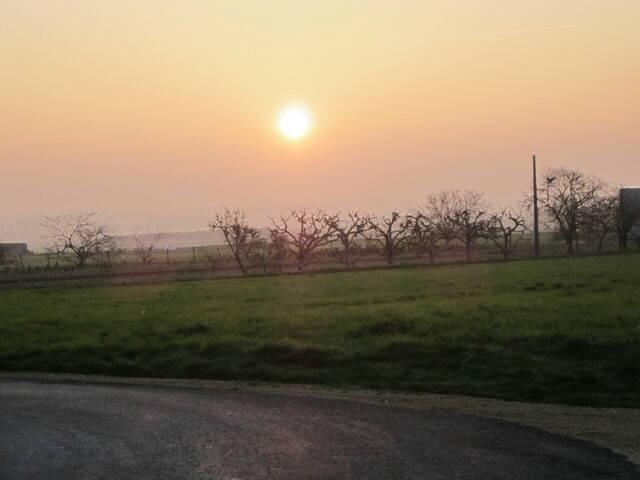 Chambres D'hôtes Saint-Jean-de-Sauves 48433-2