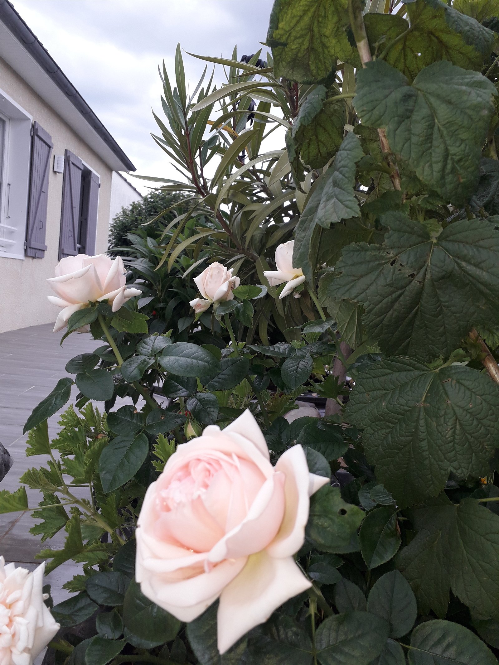Homestay Saint-Maurice-Montcouronne 90351
