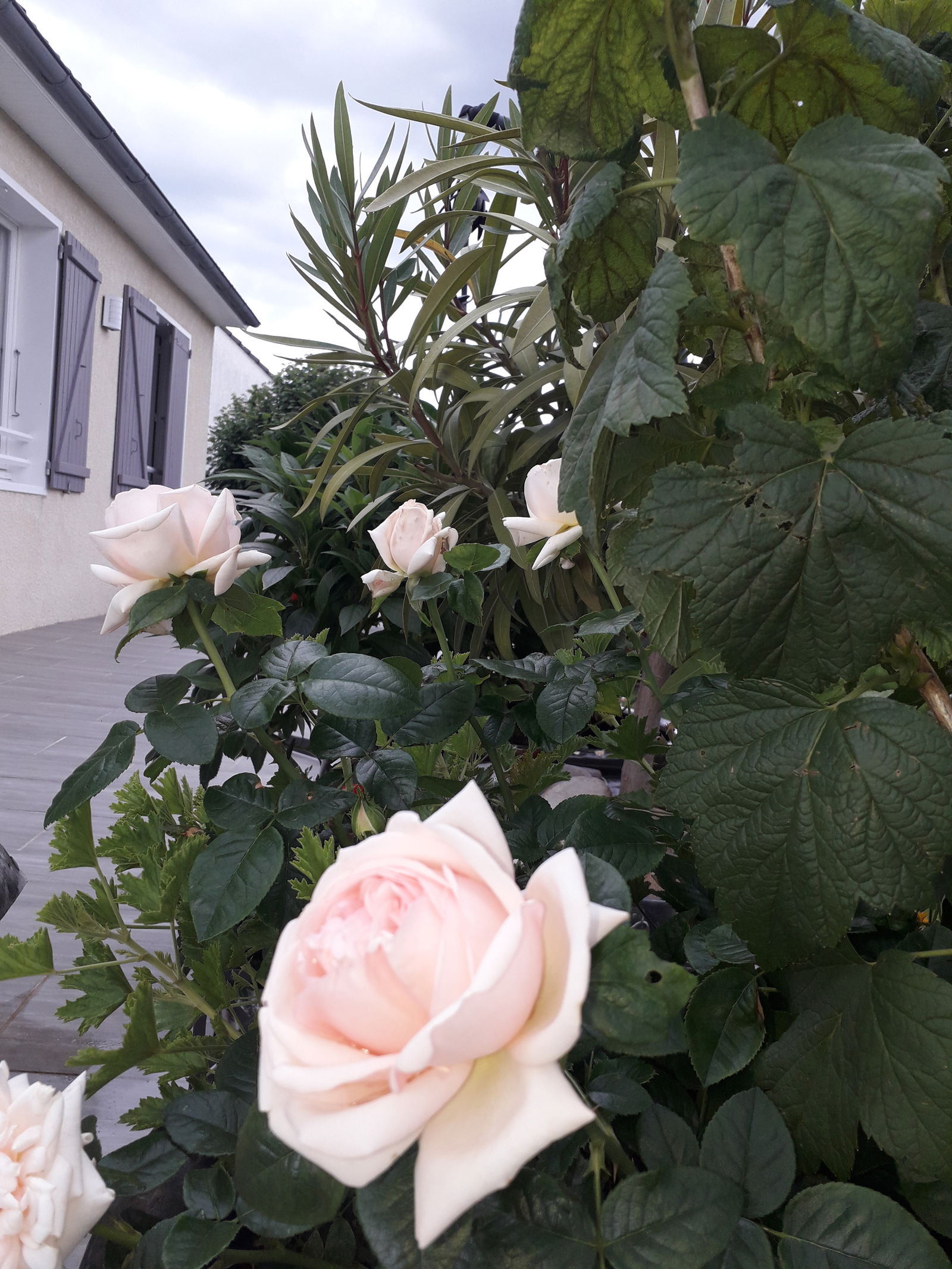 Homestay Saint-Maurice-Montcouronne 92533