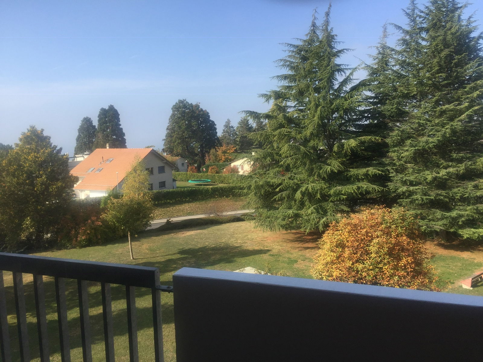 Colocation Chernex 246932