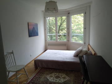 Room For Rent Genève 261881