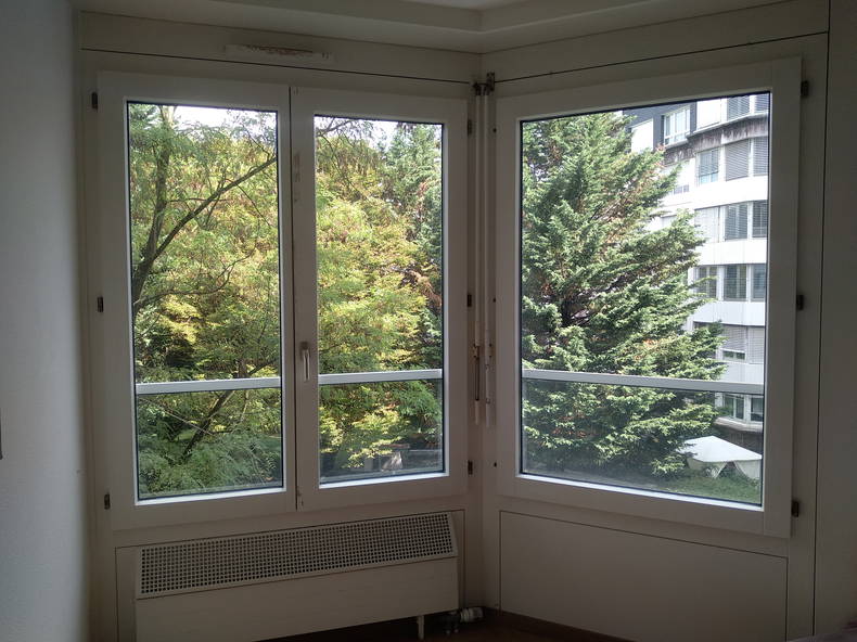 Chambre Chez L'habitant Genève 261881-4