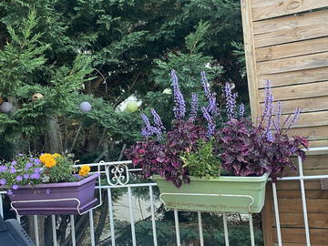 Chambre À Louer Saint-Julien-Lès-Metz 383345