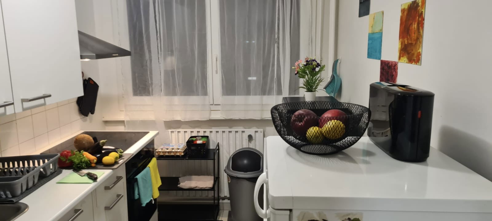 Colocation Ferney-Voltaire 627975