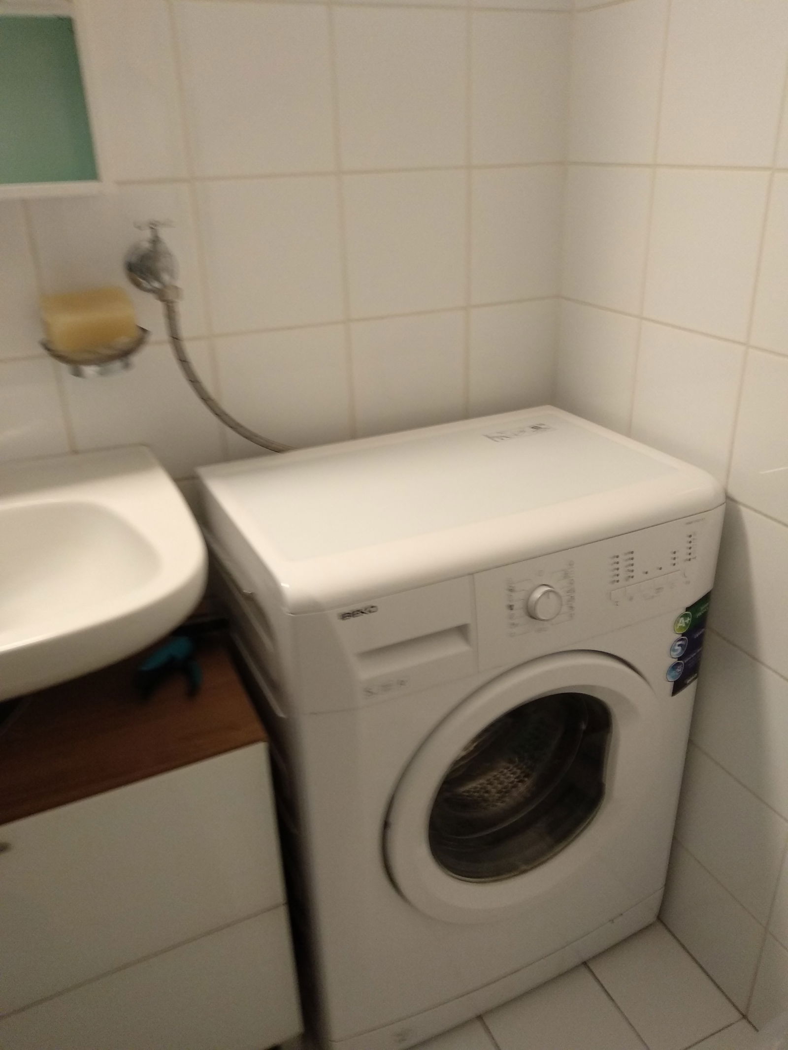 Homestay Genève 261881