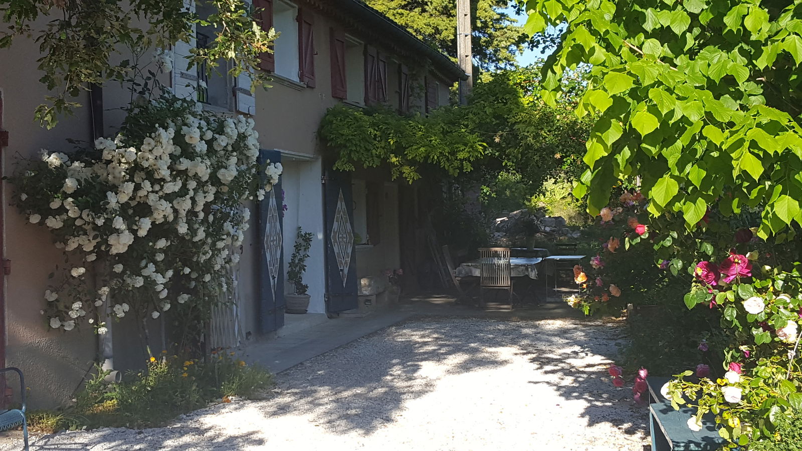 Homestay Aix-en-Provence 92106