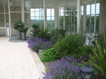 Chambre Chez L'habitant Saint-Germain-En-Laye 59340-5