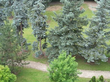 Chambre Chez L'habitant Saint-Germain-En-Laye 59340-6