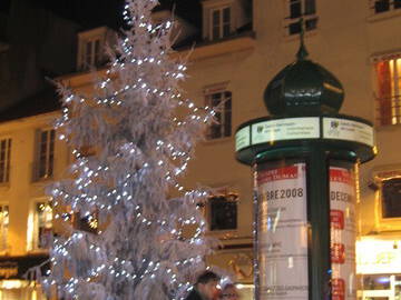 Chambre Chez L'habitant Saint-Germain-En-Laye 59340-8