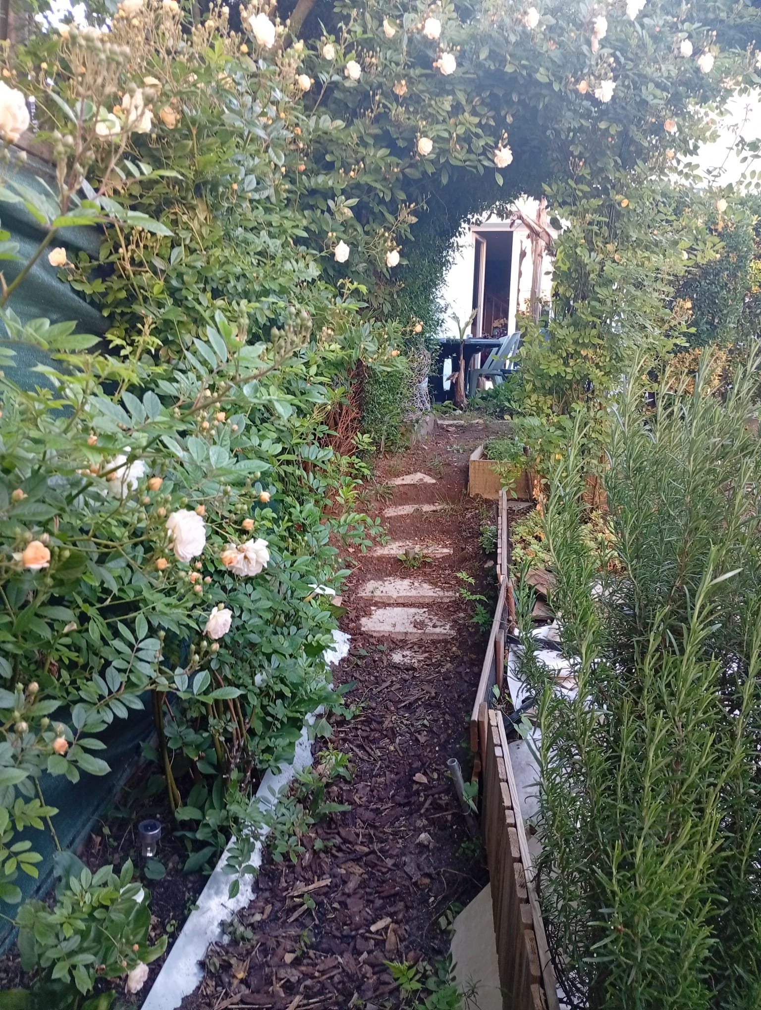 Homestay Champs-sur-Marne 484465