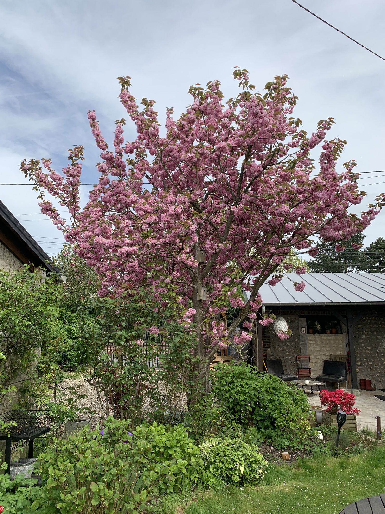 Homestay Bihorel 415361