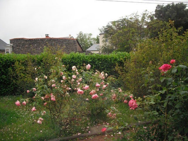 Homestay Angers 53601