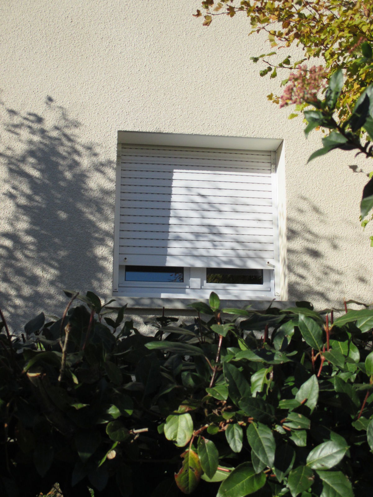 Homestay Royat 55221