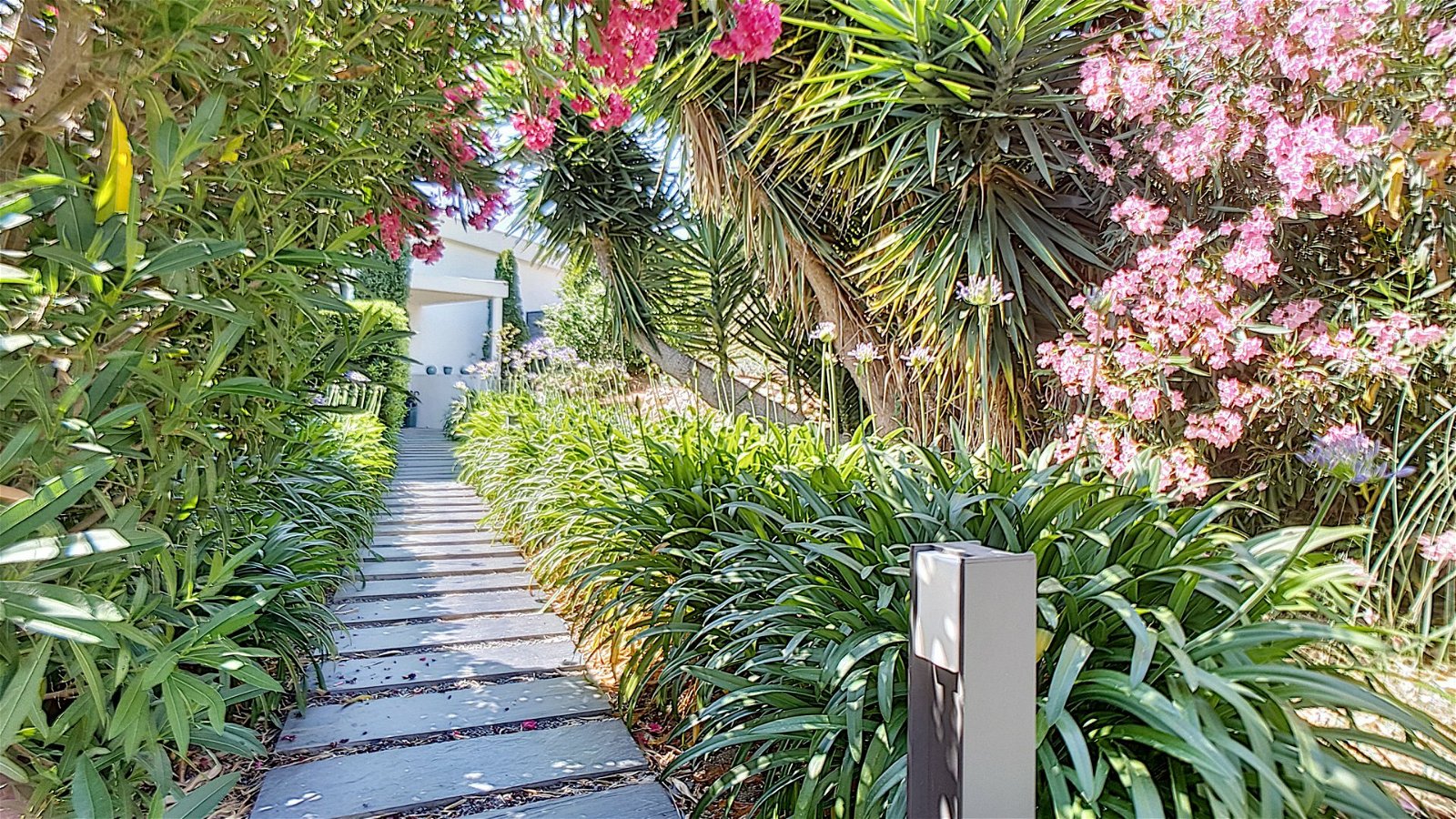 Homestay Antibes 85221