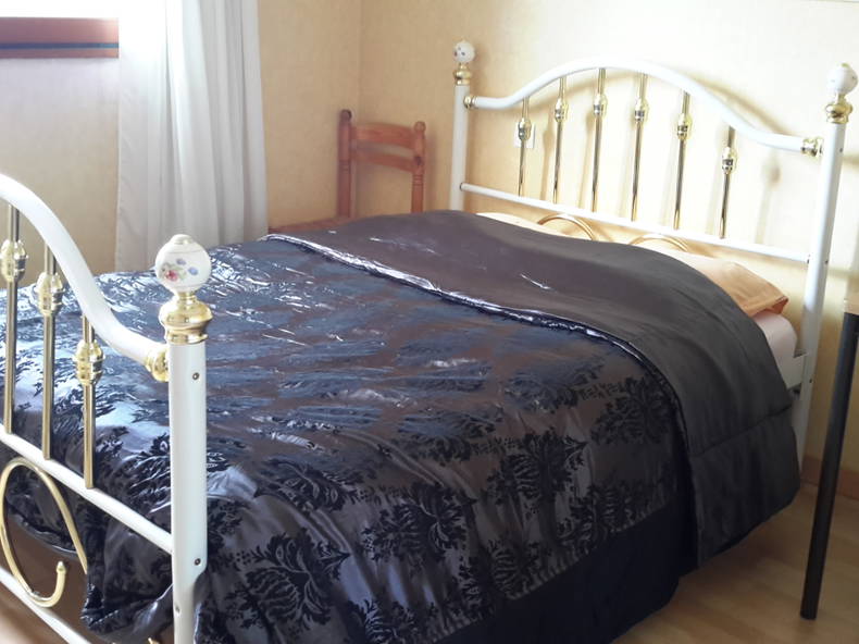 Homestay Cesson-Sévigné 2494-1