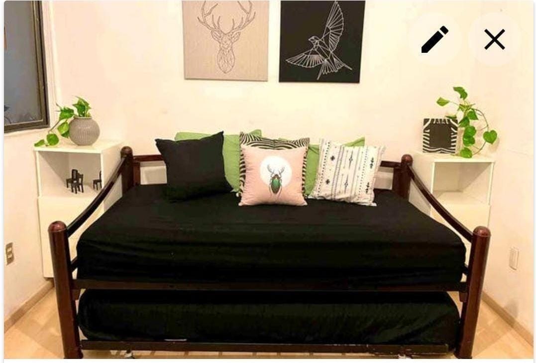 Homestay México D.F. 267119