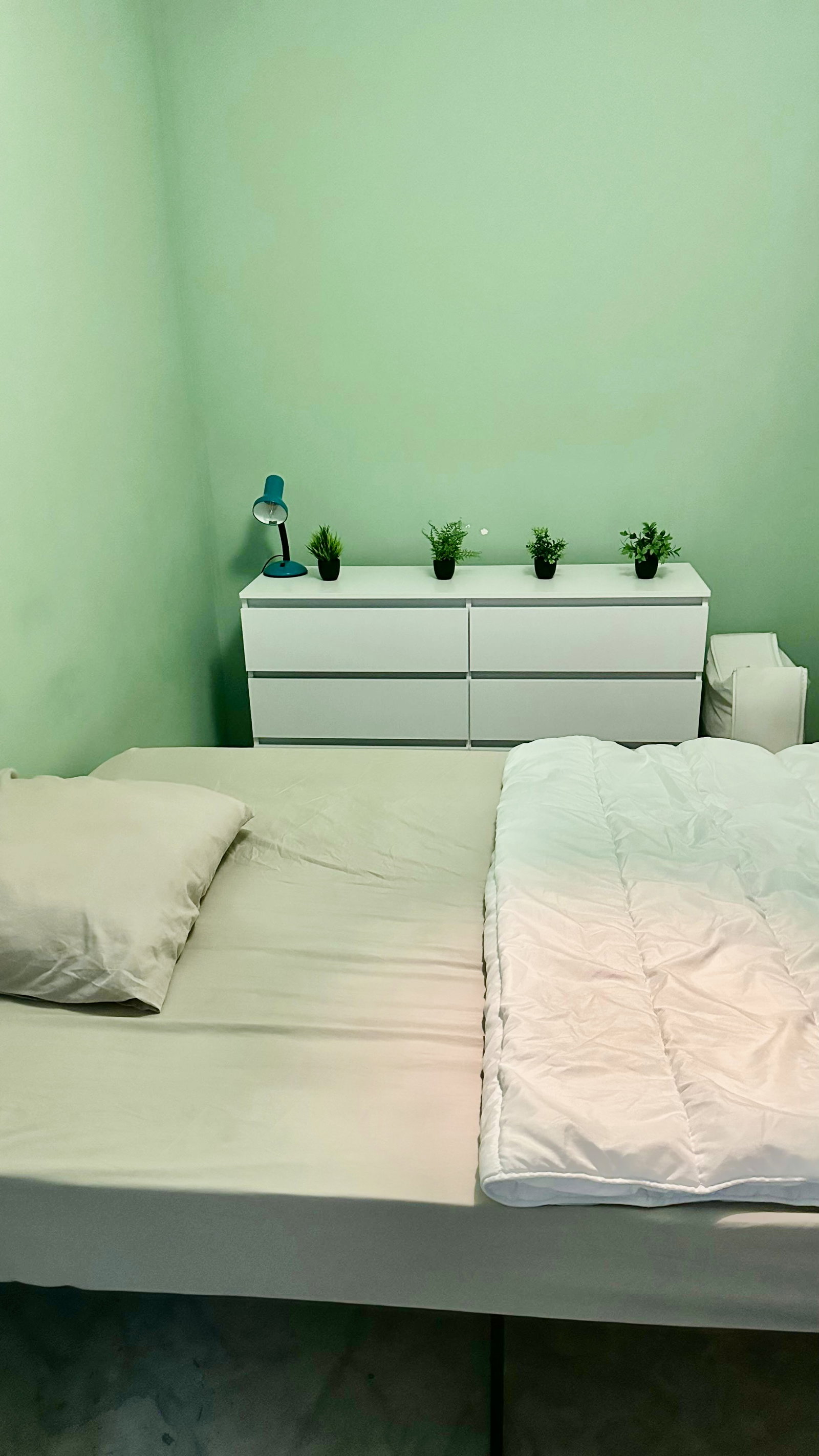 Homestay Évry-Courcouronnes 242907