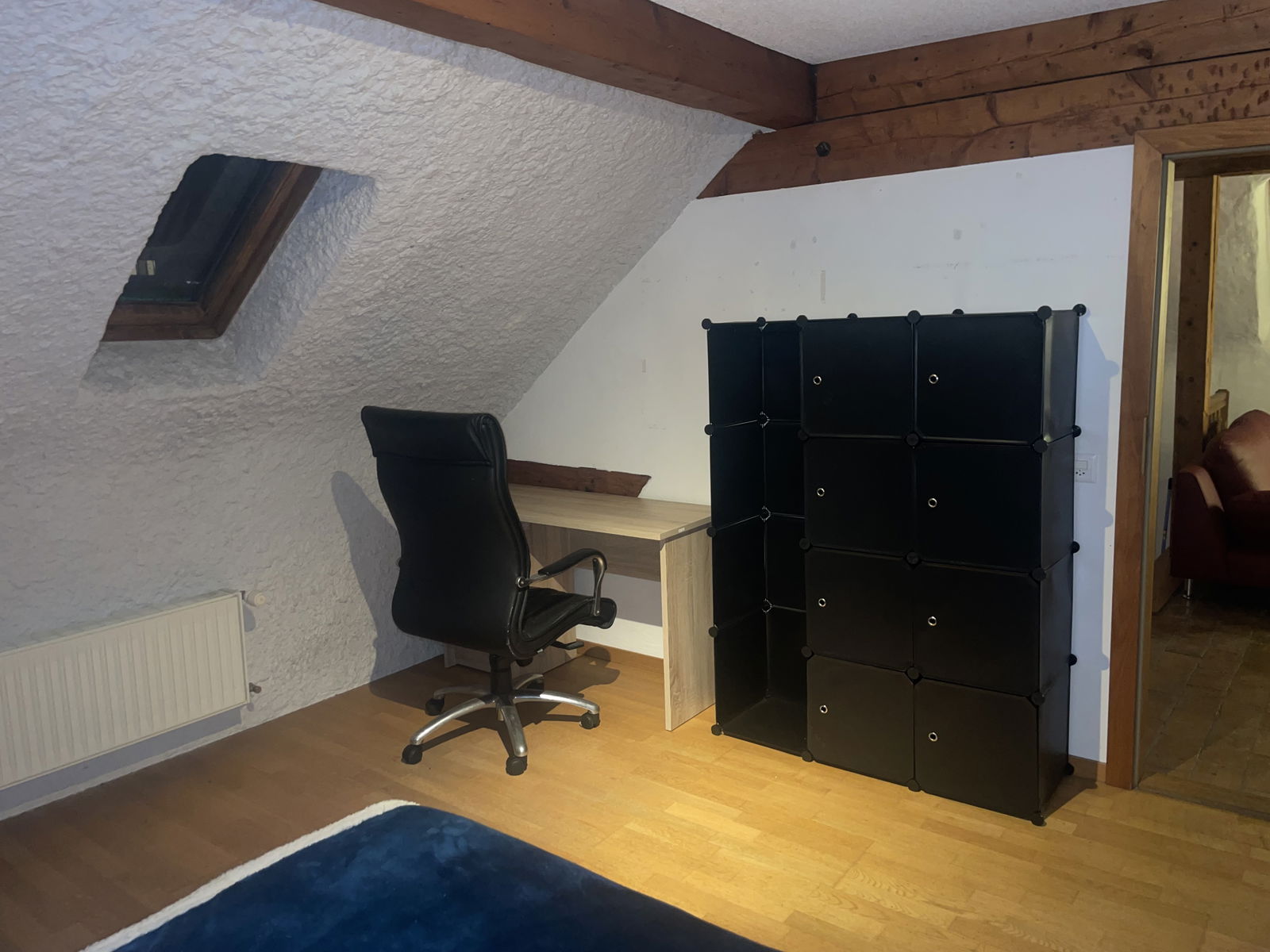 Homestay Lausanne 300818