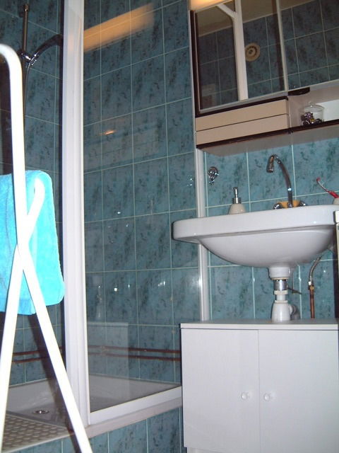 Homestay Lyon 10657