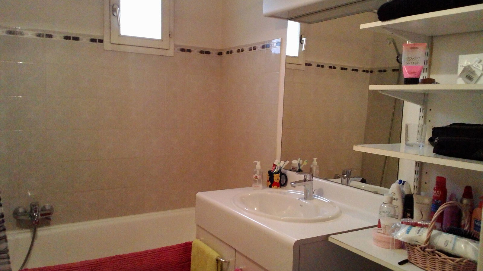 Homestay Saint-Rémy-lès-Chevreuse 106919