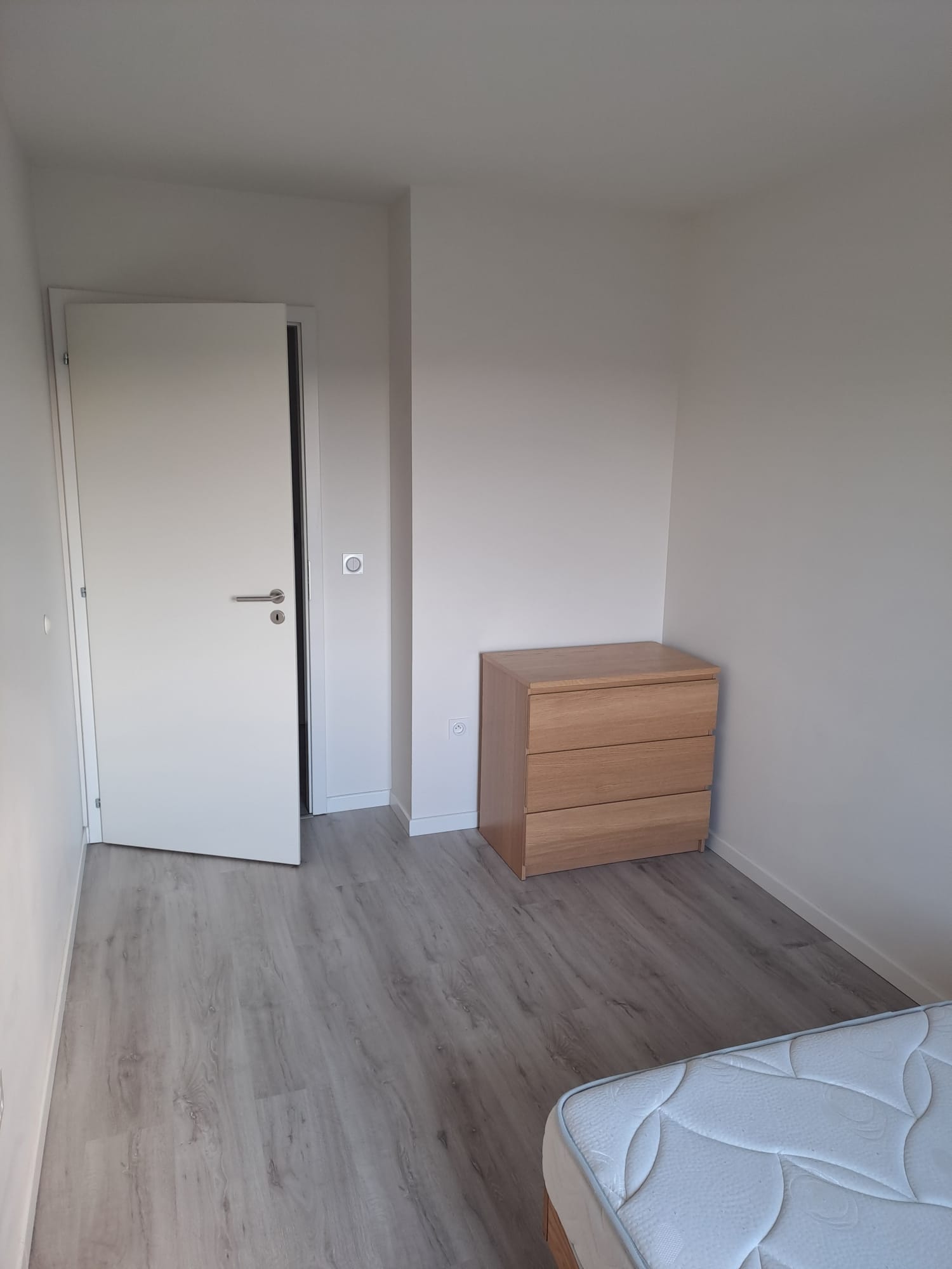 Colocation Schiltigheim 497619