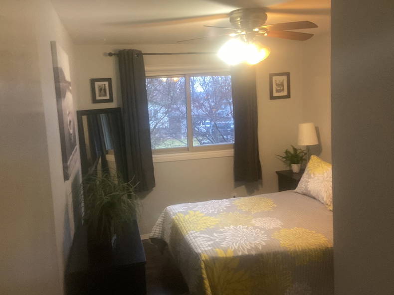 Coliving Blenheim 538112-1