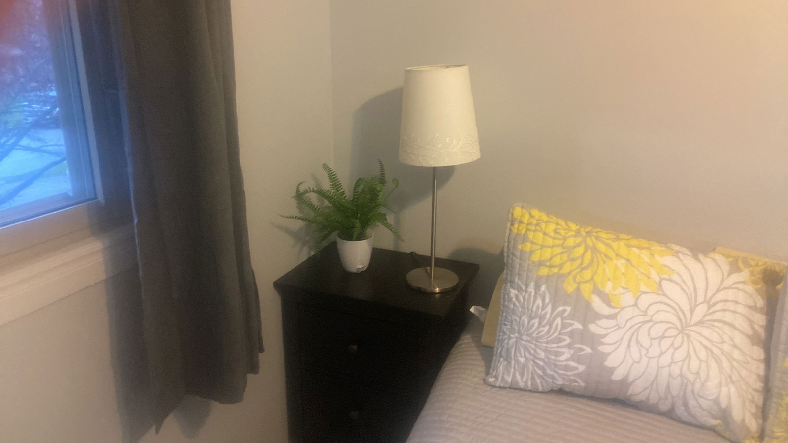 Coliving Blenheim 538112