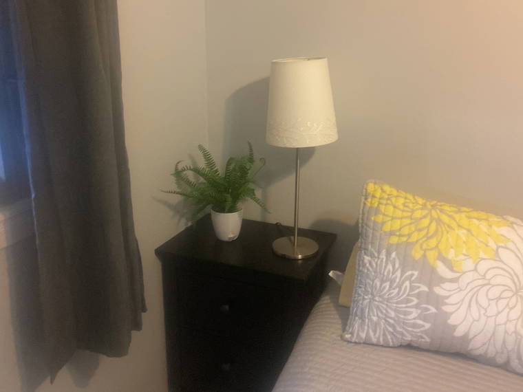 Habitación En Alquiler Blenheim 538112