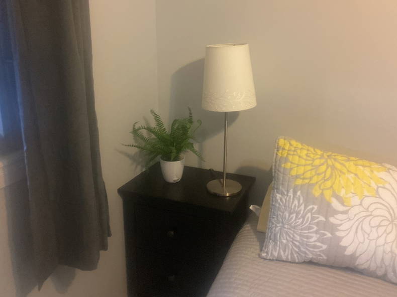 Coliving Blenheim 538112-3