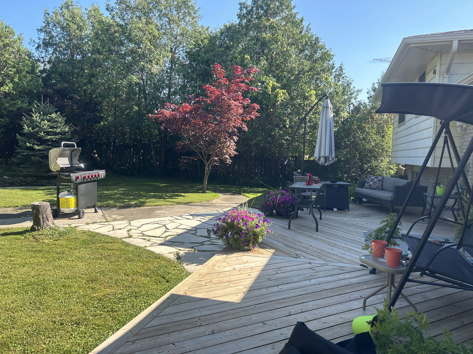 Coliving Blenheim 538112