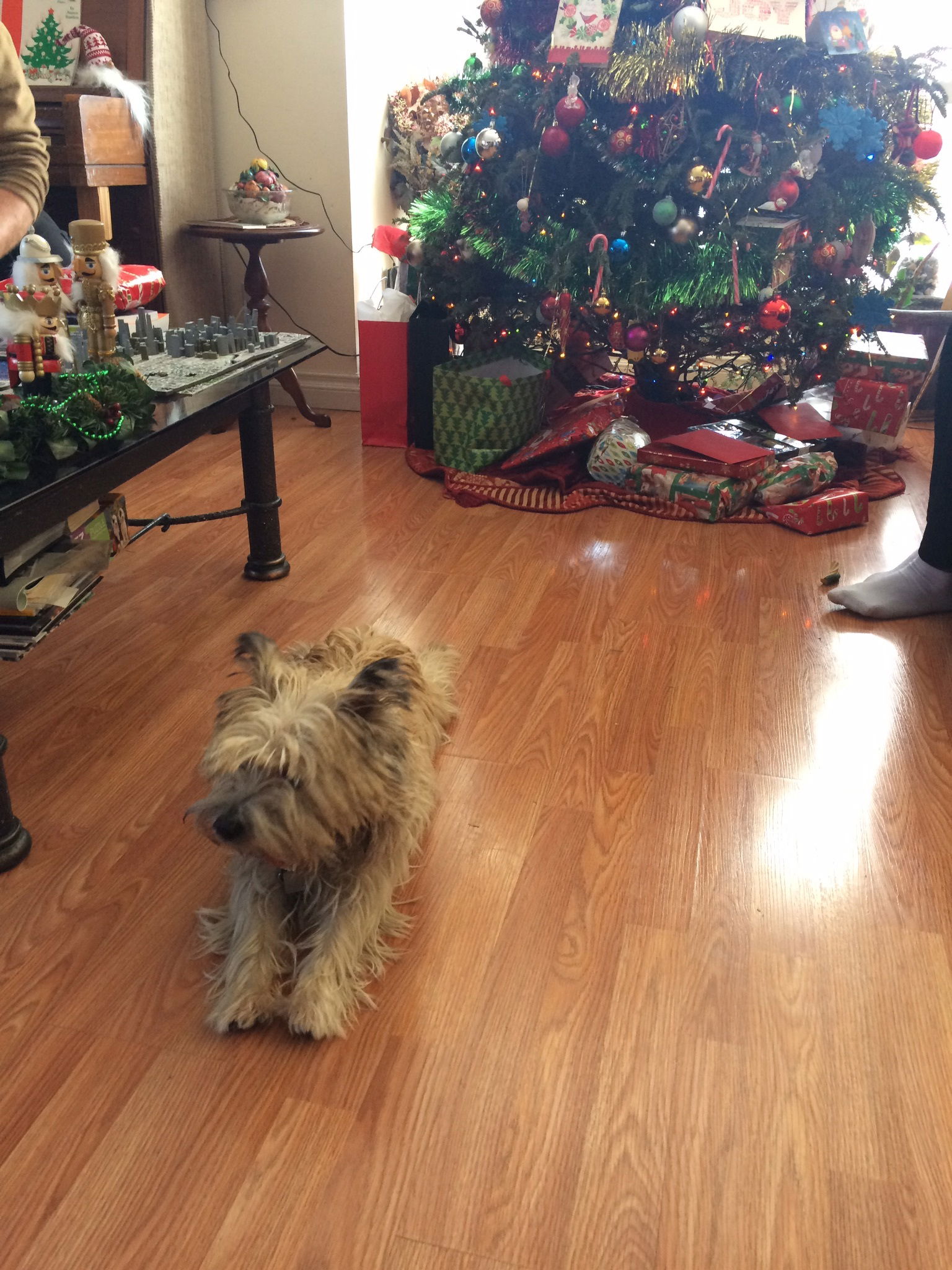 Homestay Calgary 87274