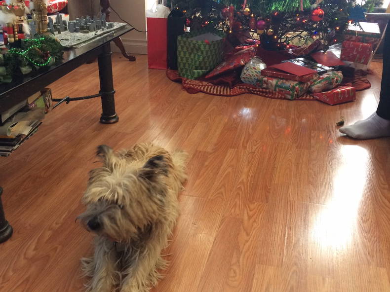 Quedarse En Casa Calgary 87274-3