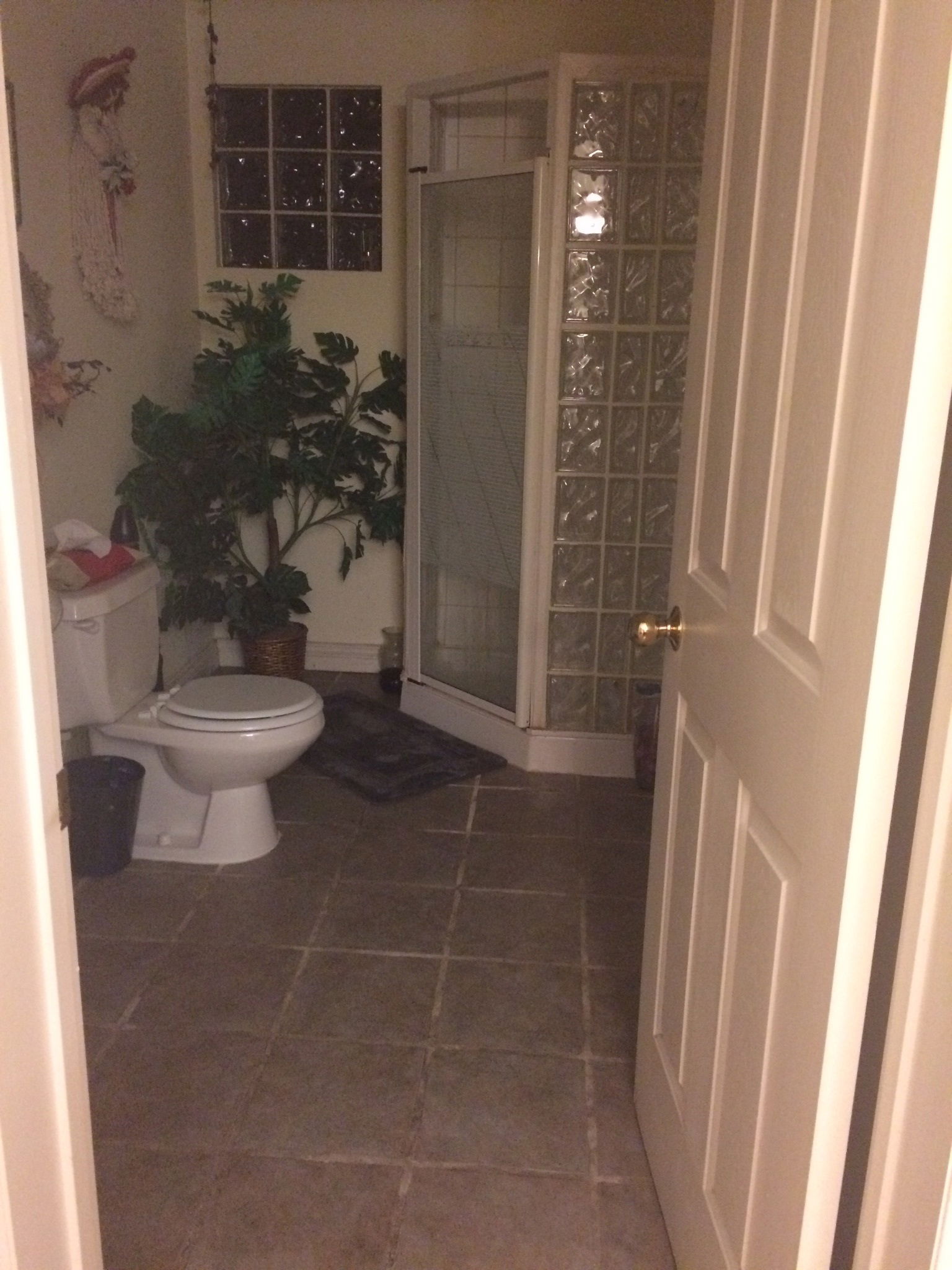 Homestay Calgary 87274