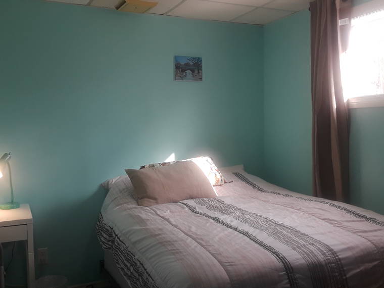 Homestay Mississauga 253634