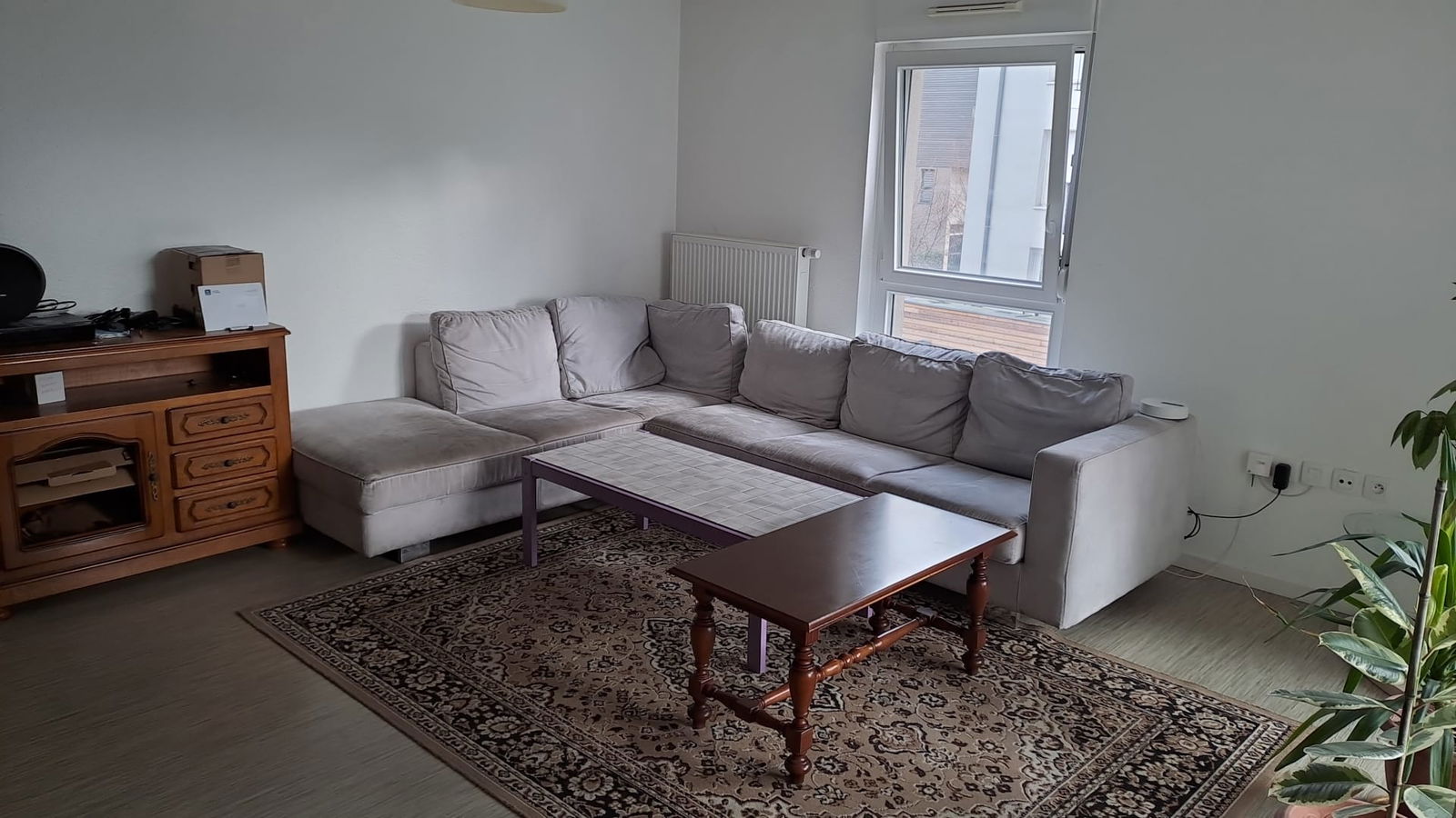 Colocation Strasbourg 263750