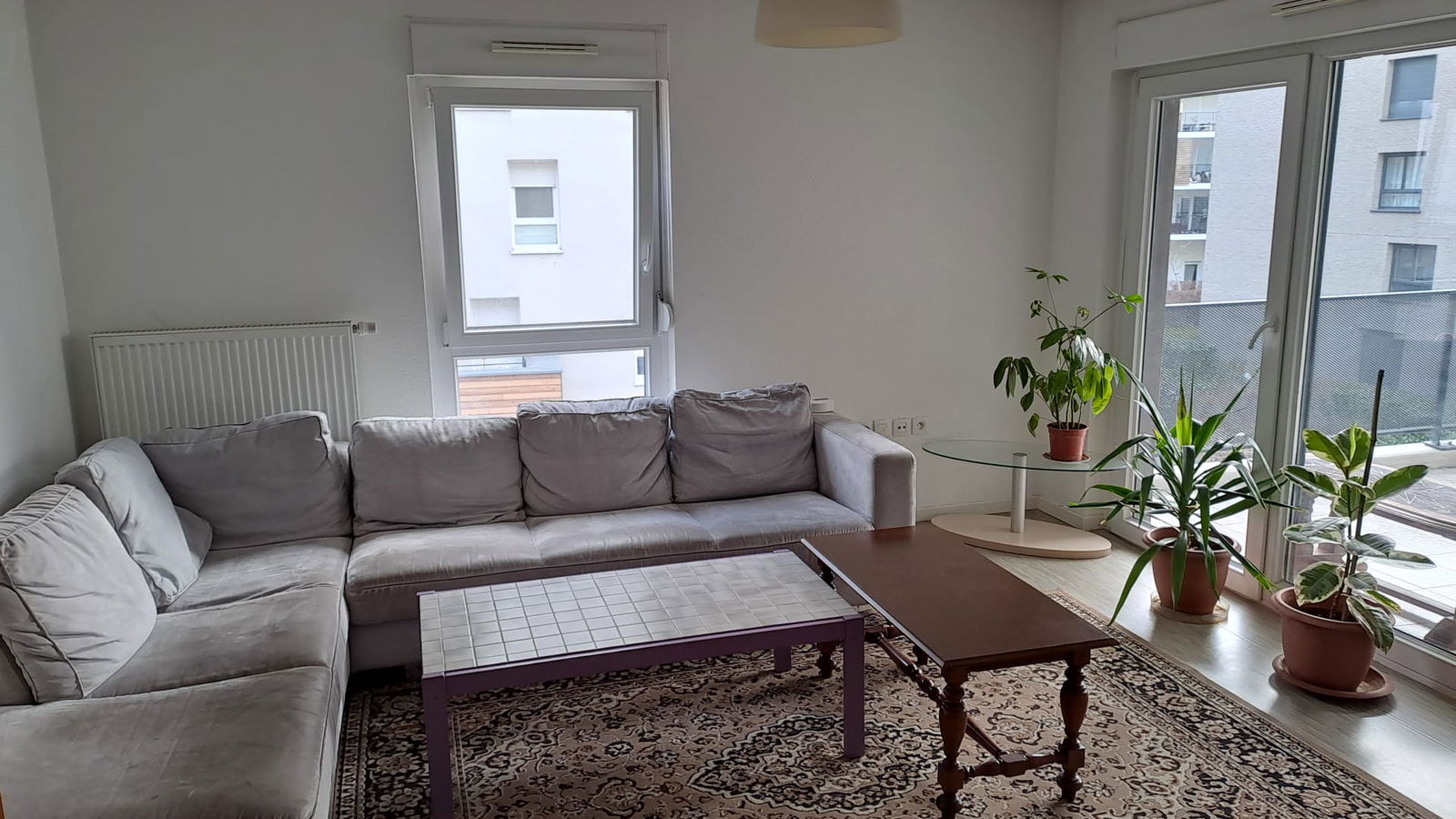 Colocation Strasbourg 263750