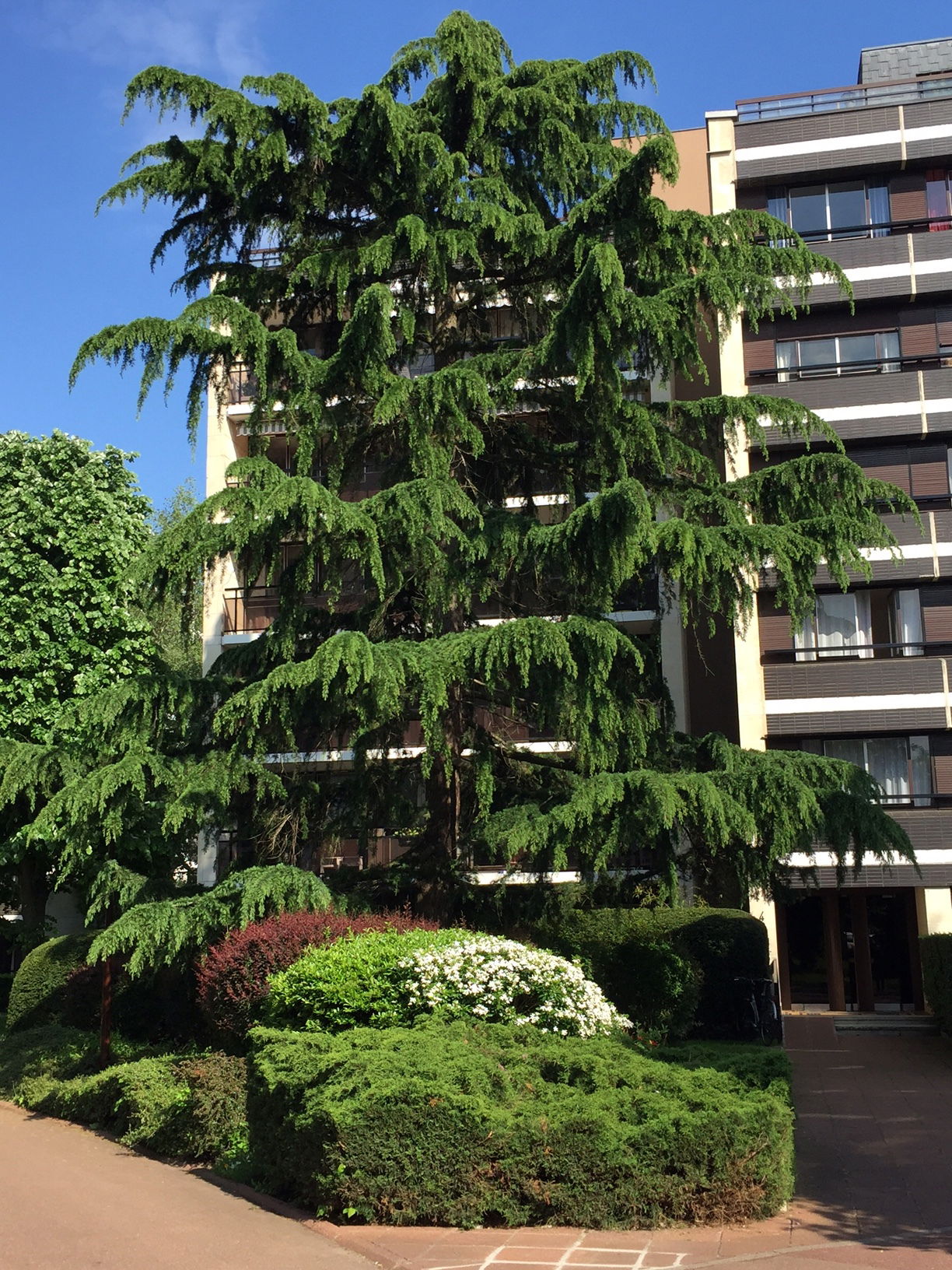 Homestay Versailles 176922