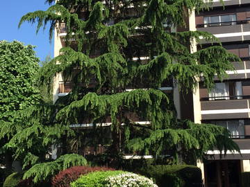 Chambre Chez L'habitant Versailles 176922-4