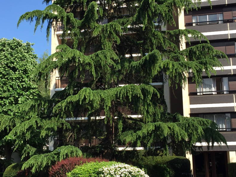 Gastgezin Versailles 176922-4