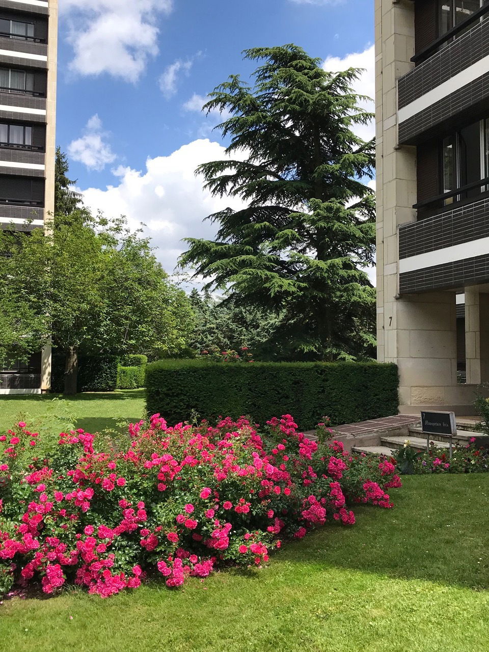 Homestay Versailles 176922