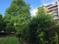 Hospedagem Em Casa De Família Versailles 256094-2