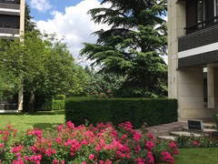 Chambre Chez L'habitant Versailles 256094-8