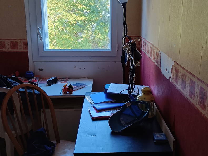 Chambre Chez L'habitant Massy 291017-1