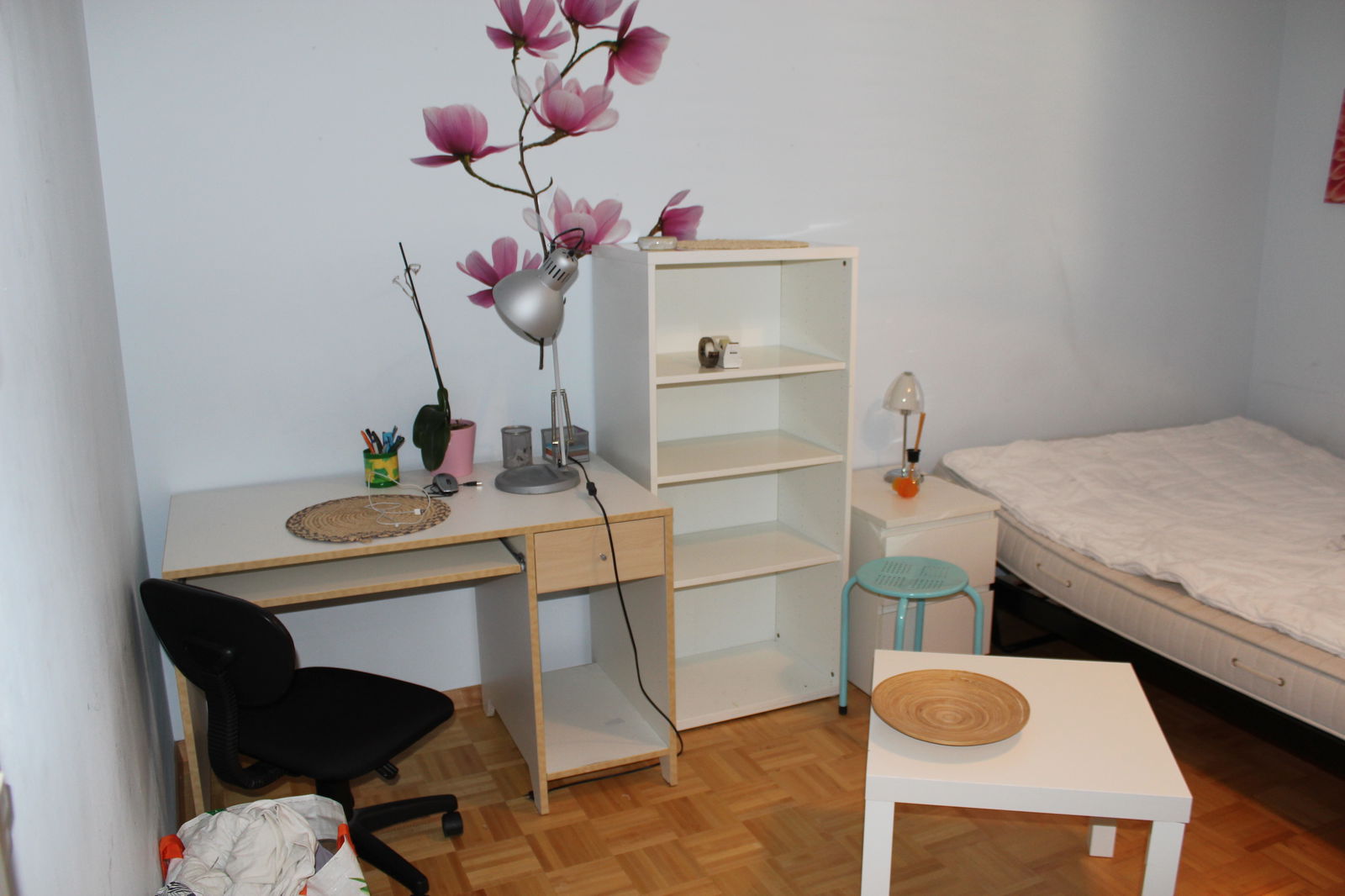 Homestay Lausanne 131782