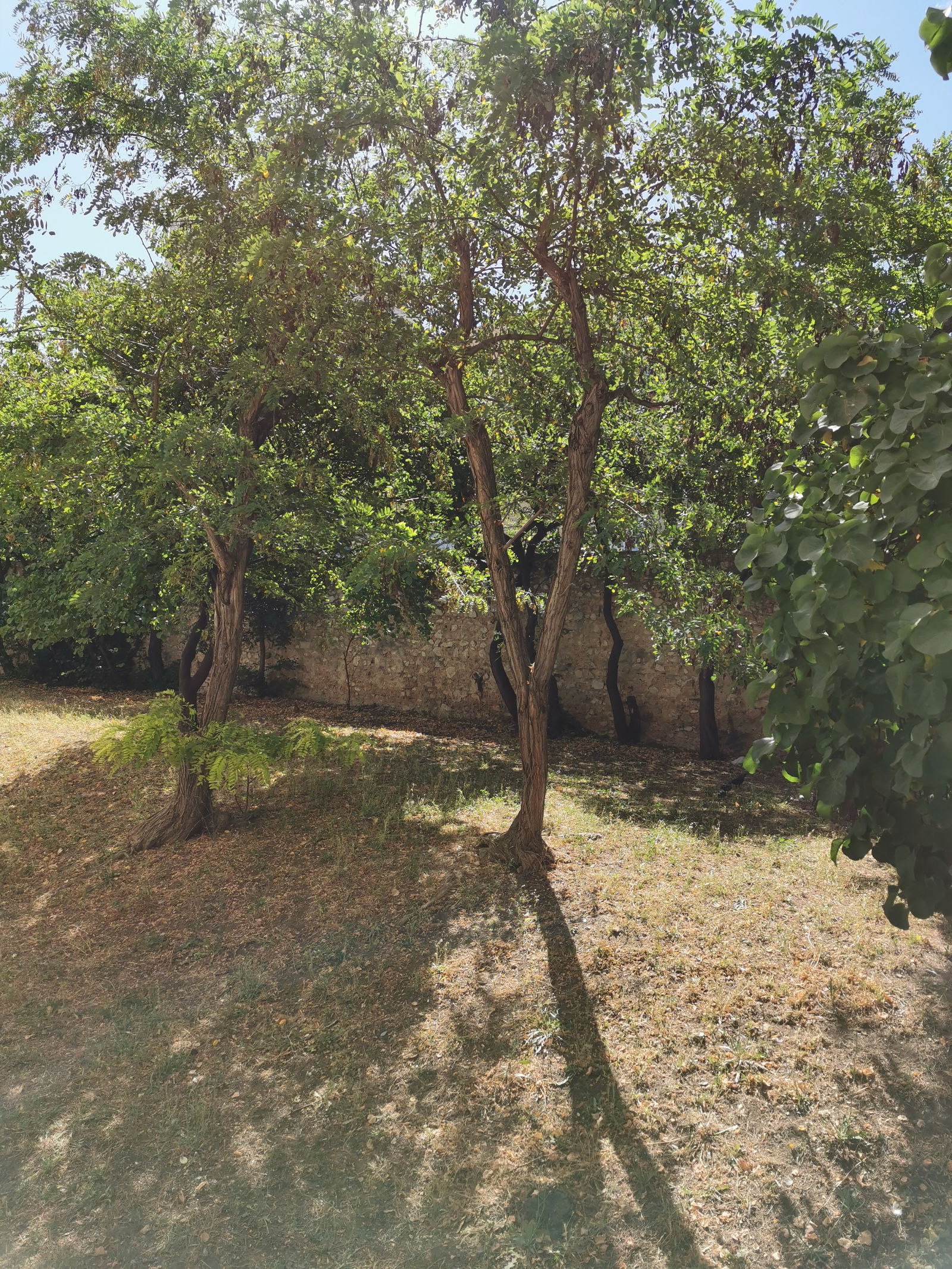 Homestay Marseille 240865